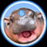 سودنگ HIPPO