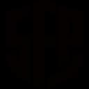 SFP