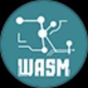ZKWASM