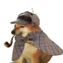 پایپ‌داگ PIPEDOG